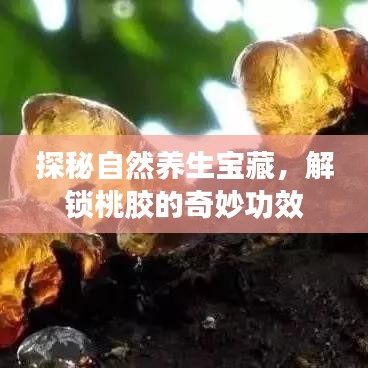 探秘自然养生宝藏，解锁桃胶的奇妙功效