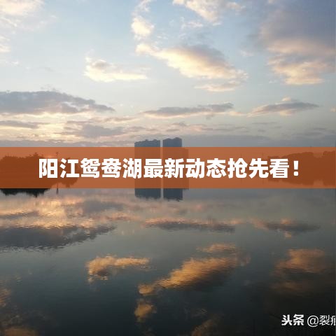 阳江鸳鸯湖最新动态抢先看！