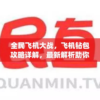 全民飞机大战，飞机钻包攻略详解，最新解析助你轻松掌握！