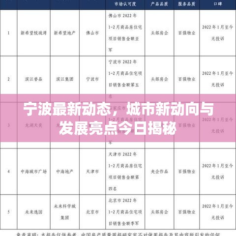 宁波最新动态，城市新动向与发展亮点今日揭秘