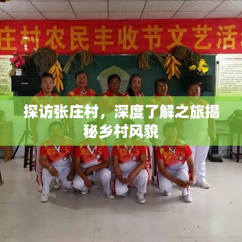 探访张庄村，深度了解之旅揭秘乡村风貌