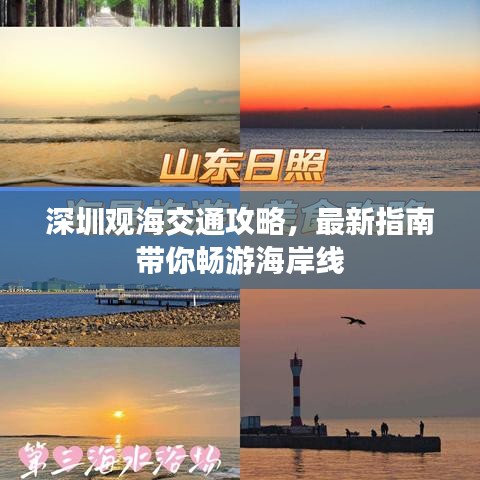 深圳观海交通攻略，最新指南带你畅游海岸线