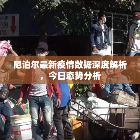 尼泊尔最新疫情数据深度解析，今日态势分析