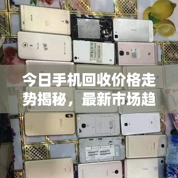 今日手机回收价格走势揭秘，最新市场趋势与影响因素深度解析