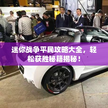 迷你战争平民攻略大全，轻松获胜秘籍揭秘！