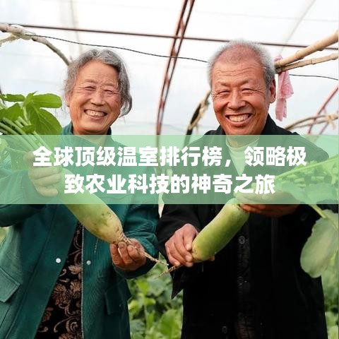 全球顶级温室排行榜，领略极致农业科技的神奇之旅