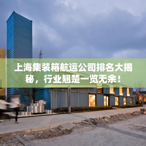 上海集装箱航运公司排名大揭秘，行业翘楚一览无余！