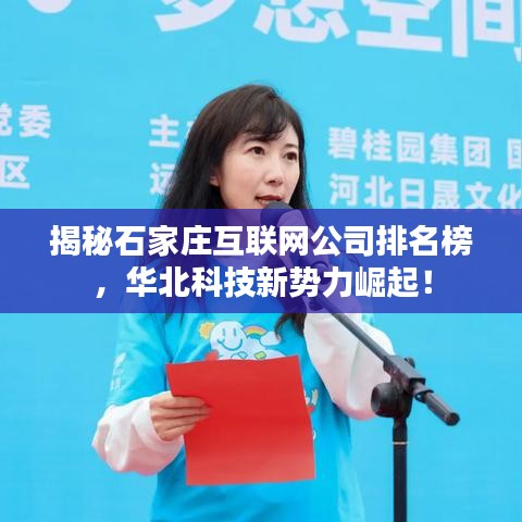 揭秘石家庄互联网公司排名榜，华北科技新势力崛起！