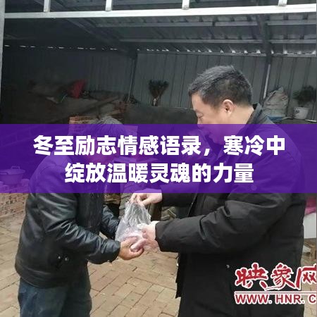 冬至励志情感语录，寒冷中绽放温暖灵魂的力量