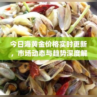今日海黄金价格实时更新，市场动态与趋势深度解析