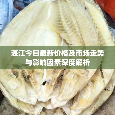 湛江今日最新价格及市场走势与影响因素深度解析