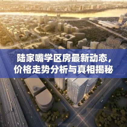 陆家嘴学区房最新动态，价格走势分析与真相揭秘
