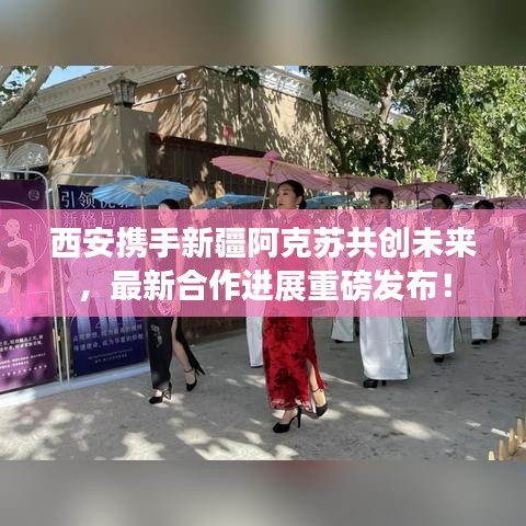 西安携手新疆阿克苏共创未来，最新合作进展重磅发布！