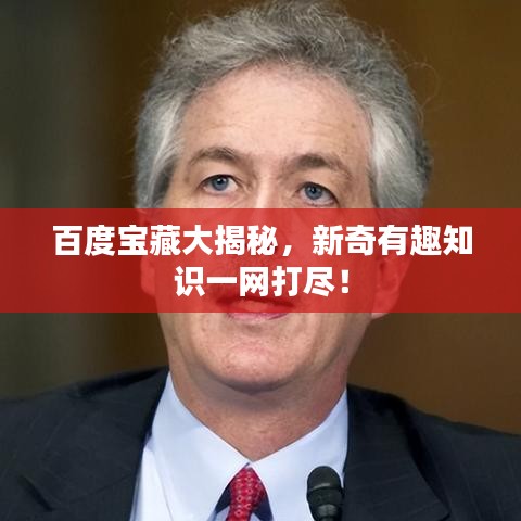百度宝藏大揭秘，新奇有趣知识一网打尽！