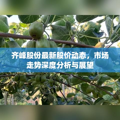 齐峰股份最新股价动态，市场走势深度分析与展望