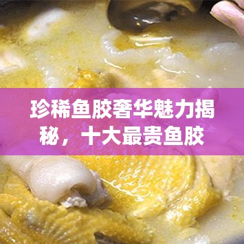 珍稀鱼胶奢华魅力揭秘，十大最贵鱼胶排名榜单！