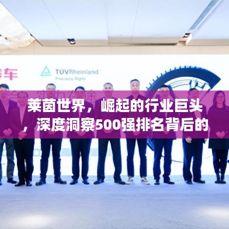 莱茵世界，崛起的行业巨头，深度洞察500强排名背后的力量