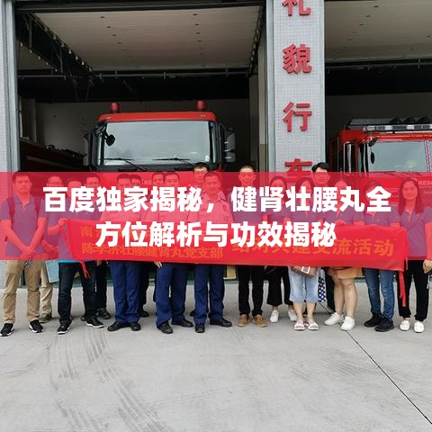 百度独家揭秘，健肾壮腰丸全方位解析与功效揭秘