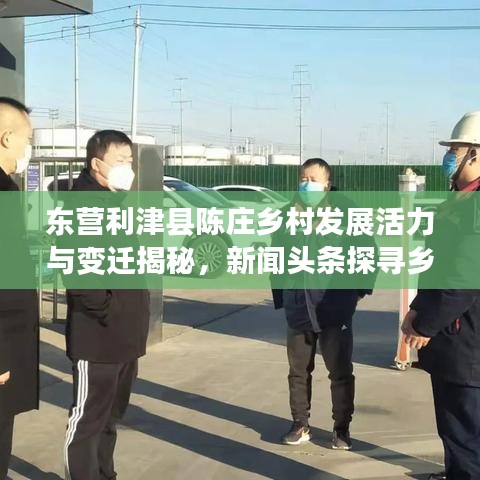 东营利津县陈庄乡村发展活力与变迁揭秘，新闻头条探寻乡村新面貌