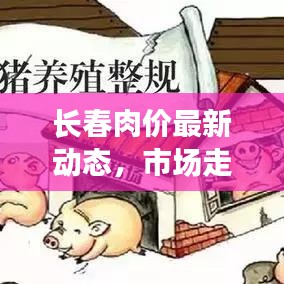 长春肉价最新动态，市场走势及影响因素深度解析
