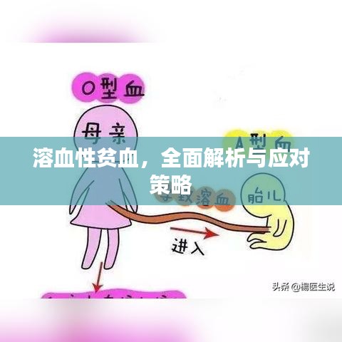 溶血性贫血，全面解析与应对策略