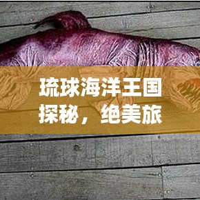 琉球海洋王国探秘，绝美旅游攻略全解析