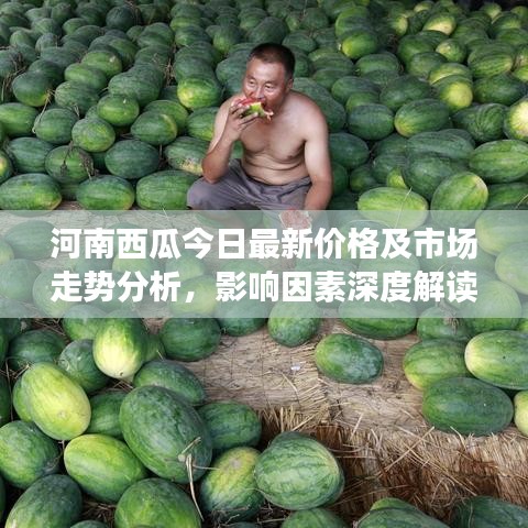 河南西瓜今日最新价格及市场走势分析，影响因素深度解读