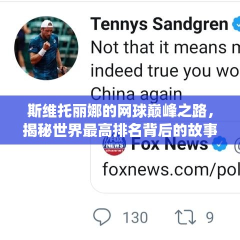 斯维托丽娜的网球巅峰之路，揭秘世界最高排名背后的故事