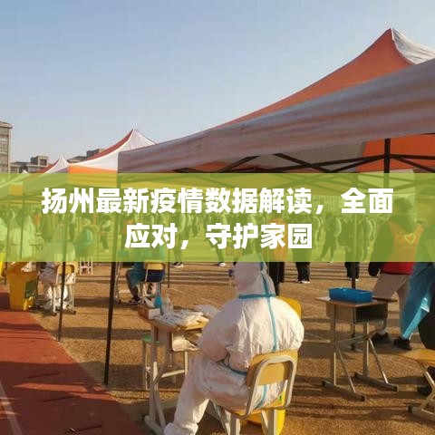 扬州最新疫情数据解读，全面应对，守护家园