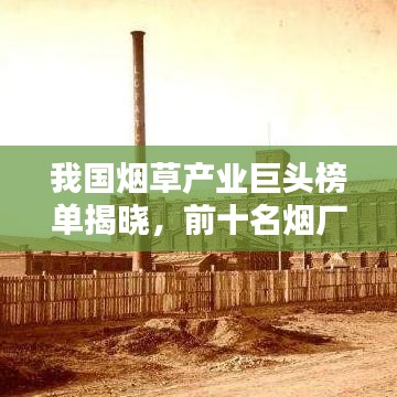 我国烟草产业巨头榜单揭晓，前十名烟厂实力概览