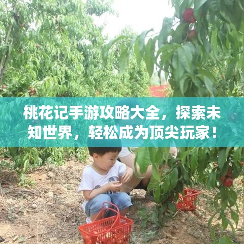 桃花记手游攻略大全，探索未知世界，轻松成为顶尖玩家！