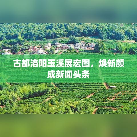 古都洛阳玉溪展宏图，焕新颜成新闻头条