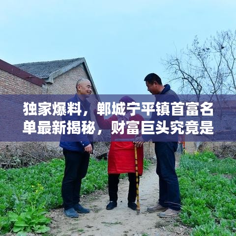 独家爆料，郸城宁平镇首富名单最新揭秘，财富巨头究竟是谁？