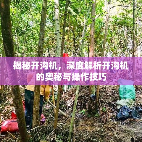 2025年5月4日 第19页