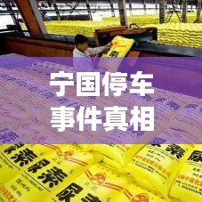 宁国停车事件真相揭秘，最新消息探究