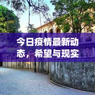 今日疫情最新动态，希望与现实的交汇点，关注清新消息更新