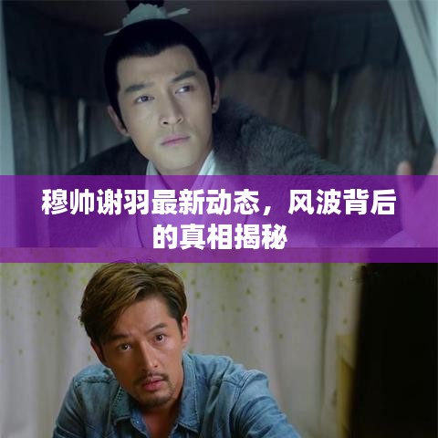 穆帅谢羽最新动态，风波背后的真相揭秘