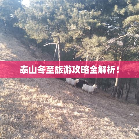 泰山冬至旅游攻略全解析！