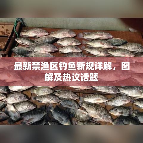 最新禁渔区钓鱼新规详解，图解及热议话题