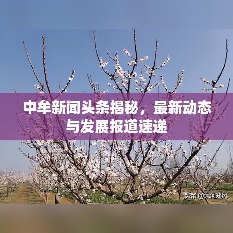 中牟新闻头条揭秘，最新动态与发展报道速递