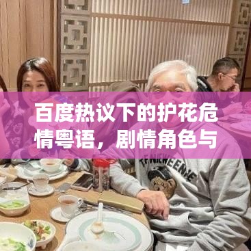 百度热议下的护花危情粤语，剧情角色与观众反响深度解析