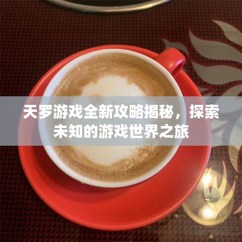 天罗游戏全新攻略揭秘，探索未知的游戏世界之旅