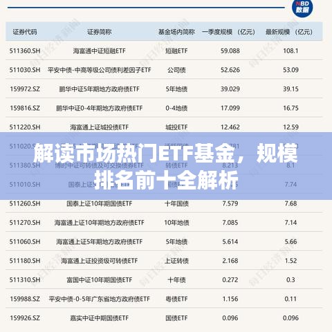 解读市场热门ETF基金，规模排名前十全解析