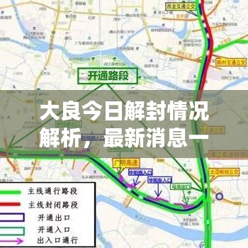 大良今日解封情况解析，最新消息一览