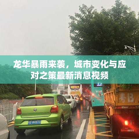 龙华暴雨来袭，城市变化与应对之策最新消息视频