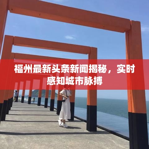 福州最新头条新闻揭秘，实时感知城市脉搏