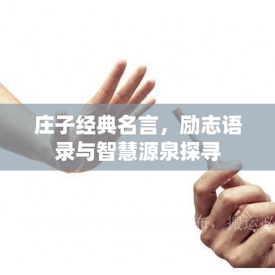 庄子经典名言，励志语录与智慧源泉探寻