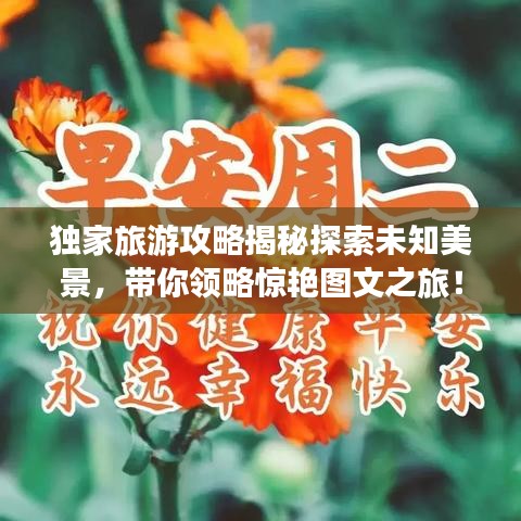 独家旅游攻略揭秘探索未知美景，带你领略惊艳图文之旅！