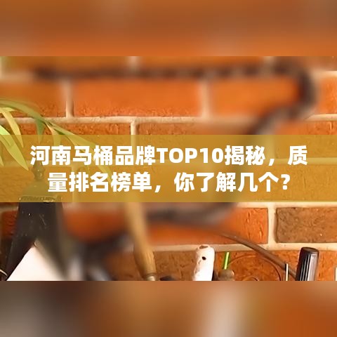 河南马桶品牌TOP10揭秘，质量排名榜单，你了解几个？