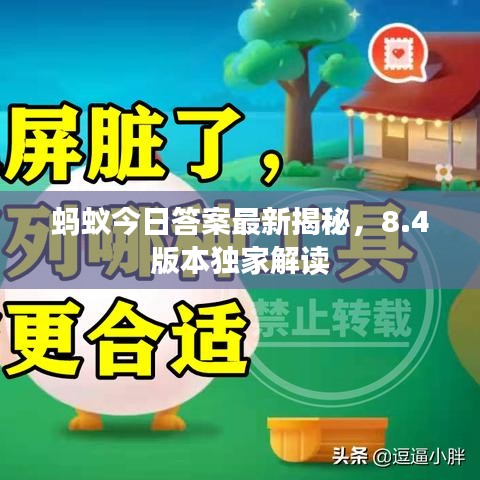 蚂蚁今日答案最新揭秘，8.4版本独家解读